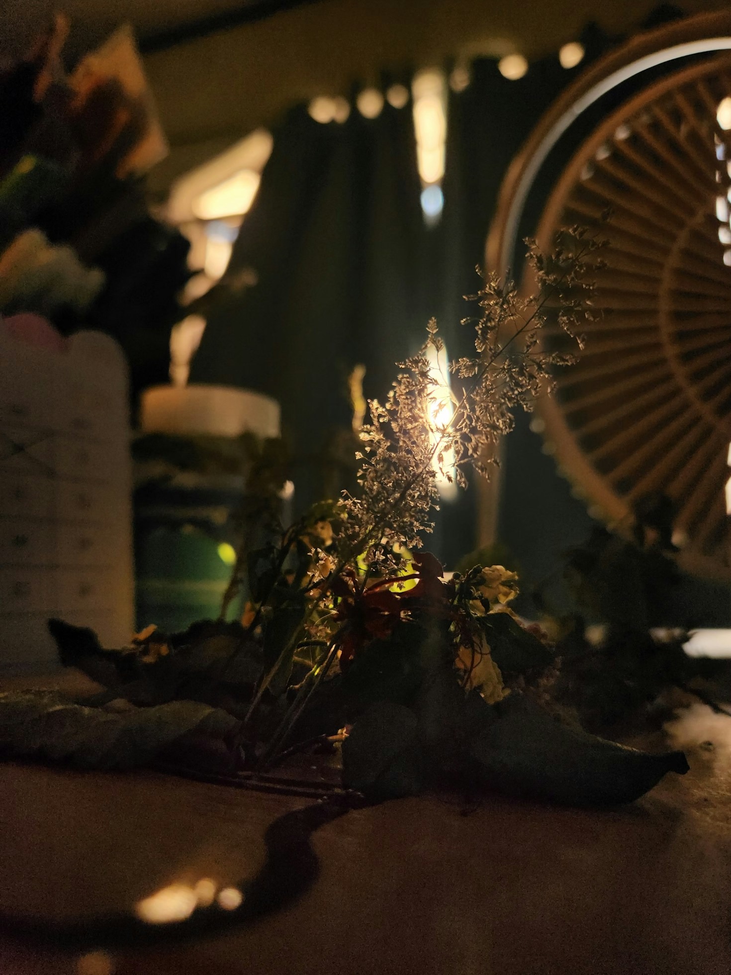 Dicas para manter suas velas sempre lindas
